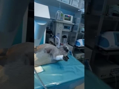 Las personas que se encuentran en el lugar de trabajo: